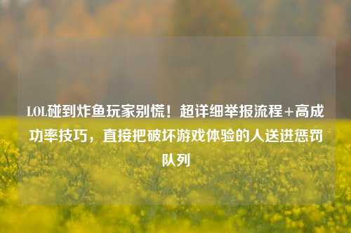 LOL碰到炸鱼玩家别慌！超详细举报流程+高成功率技巧，直接把破坏游戏体验的人送进惩罚队列