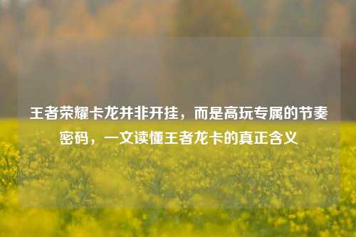 王者荣耀卡龙并非开挂，而是高玩专属的节奏密码，一文读懂王者龙卡的真正含义