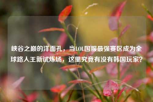 峡谷之巅的洋面孔,当LOL国服最强赛区成为全球路人王新试炼场,这里究竟有没有韩国玩家?