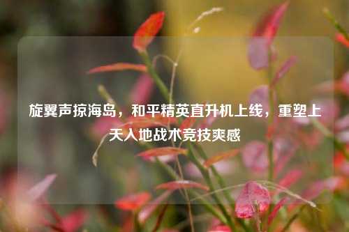 旋翼声掠海岛,和平精英直升机上线,重塑上天入地战术竞技爽感