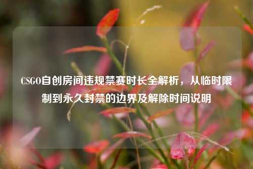 CSGO自创房间违规禁赛时长全解析,从临时限制到永久封禁的边界及解除时间说明