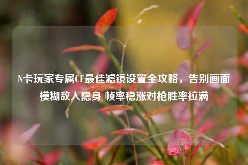 N卡玩家专属CF最佳滤镜设置全攻略,告别画面模糊敌人隐身 帧率稳涨对枪胜率拉满