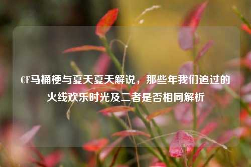 CF马桶梗与夏天夏天解说,那些年我们追过的火线欢乐时光及二者是否相同解析