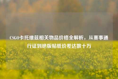 CSGO卡托维兹相关物品价格全解析,从赛事通行证到绝版贴纸价差达数十万