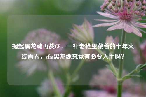 握起黑龙魂再战CF，一杆老枪里藏着的十年火线青春，cfm黑龙魂究竟有必要入手吗？