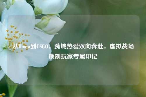 从Roam到CSGO，跨域热爱双向奔赴，虚拟战场镌刻玩家专属印记