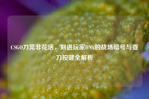 CSGO刀晃非花活，刻进玩家DNA的战场暗号与耍刀按键全解析
