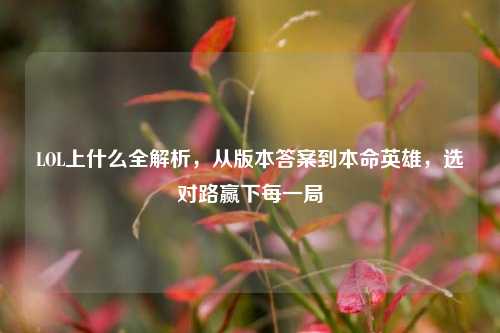 LOL上什么全解析,从版本答案到本命英雄,选对路赢下每一局