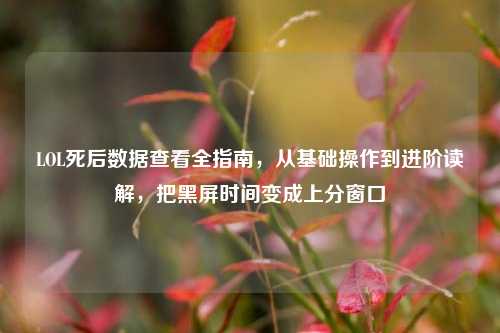 LOL死后数据查看全指南，从基础操作到进阶读解，把黑屏时间变成上分窗口