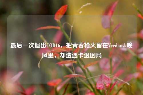 最后一次退出COD16，把青春枪火留在Verdansk晚风里，却遭遇卡退困局