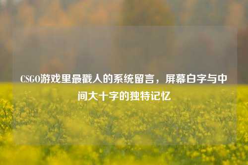 CSGO游戏里最戳人的系统留言，屏幕白字与中间大十字的独特记忆
