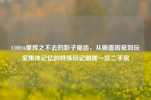 COD16里挥之不去的影子锯齿，从画面瑕疵到玩家集体记忆的特殊印记朝晖一区二手房
