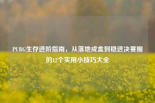 PUBG生存进阶指南，从落地成盒到稳进决赛圈的12个实用小技巧大全