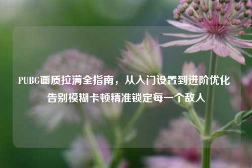 PUBG画质拉满全指南，从入门设置到进阶优化 告别模糊卡顿精准锁定每一个敌人