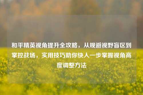 和平精英视角提升全攻略，从规避视野盲区到掌控战场，实用技巧助你快人一步掌握视角高度调整方法