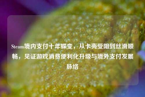 Steam境内支付十年蝶变，从卡壳受阻到丝滑顺畅，见证游戏消费便利化升级与境外支付发展脉络