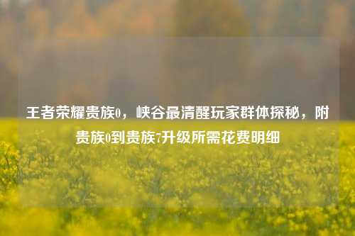王者荣耀贵族0，峡谷最清醒玩家群体探秘，附贵族0到贵族7升级所需花费明细