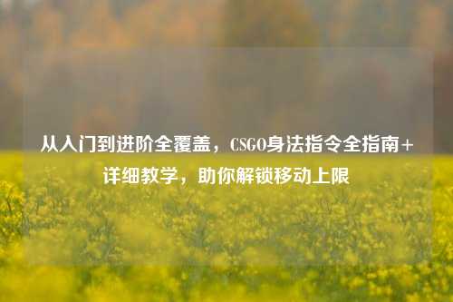 从入门到进阶全覆盖，CSGO身法指令全指南+详细教学，助你解锁移动上限