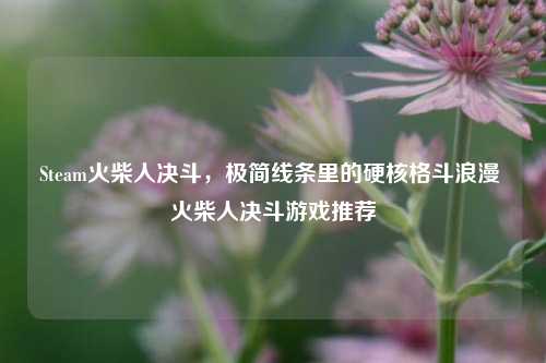 Steam火柴人决斗，极简线条里的硬核格斗浪漫 火柴人决斗游戏推荐