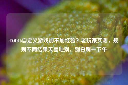COD16自定义游戏加不加经验？老玩家实测，规则不同结果天差地别，别白刷一下午