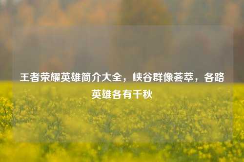 王者荣耀英雄简介大全，峡谷群像荟萃，各路英雄各有千秋