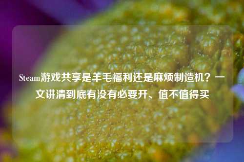 Steam游戏共享是羊毛福利还是麻烦制造机？一文讲清到底有没有必要开、值不值得买