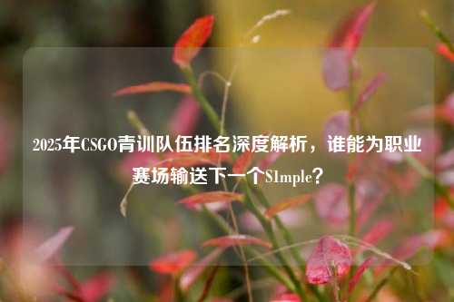 2025年CSGO青训队伍排名深度解析，谁能为职业赛场输送下一个S1mple？