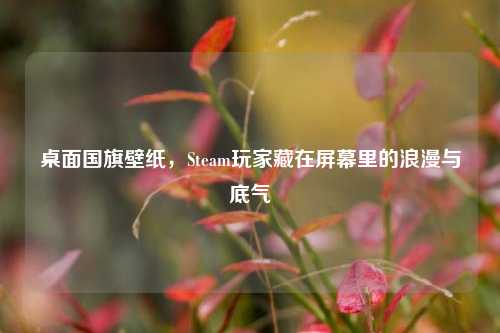 桌面国旗壁纸，Steam玩家藏在屏幕里的浪漫与底气