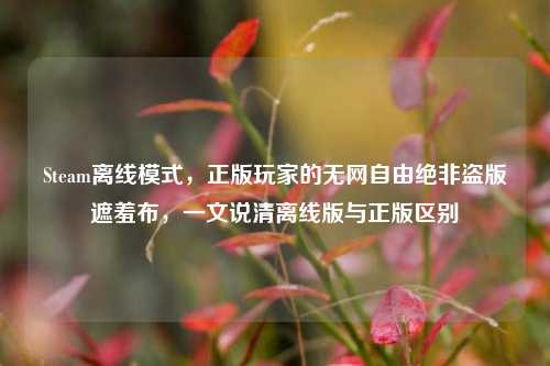 Steam离线模式，正版玩家的无网自由绝非盗版遮羞布，一文说清离线版与正版区别