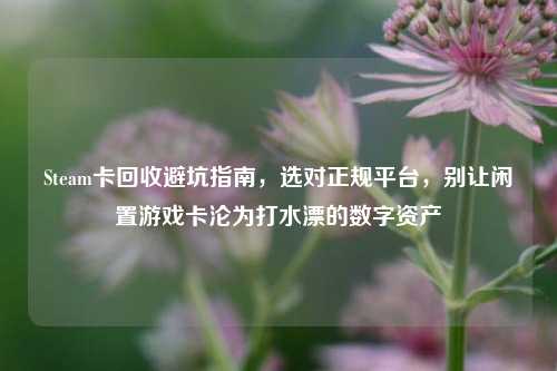 Steam卡回收避坑指南，选对正规平台，别让闲置游戏卡沦为打水漂的数字资产