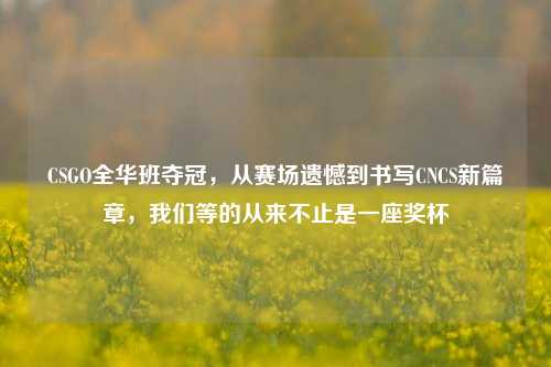CSGO全华班夺冠，从赛场遗憾到书写CNCS新篇章，我们等的从来不止是一座奖杯