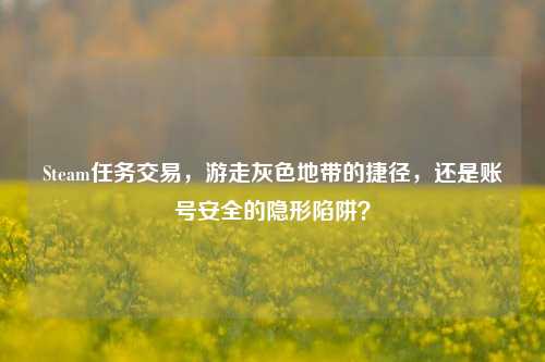 Steam任务交易,游走灰色地带的捷径,还是账号安全的隐形陷阱?
