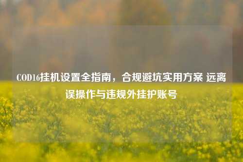 COD16挂机设置全指南，合规避坑实用方案 远离误操作与违规外挂护账号