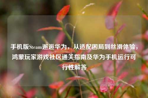 手机版Steam邂逅华为，从适配困局到丝滑体验，鸿蒙玩家游戏社区通关指南及华为手机运行可行性解答