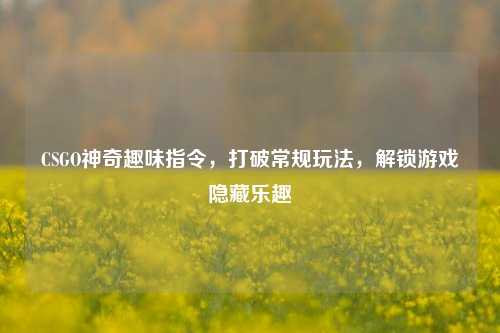 CSGO神奇趣味指令，打破常规玩法，解锁游戏隐藏乐趣