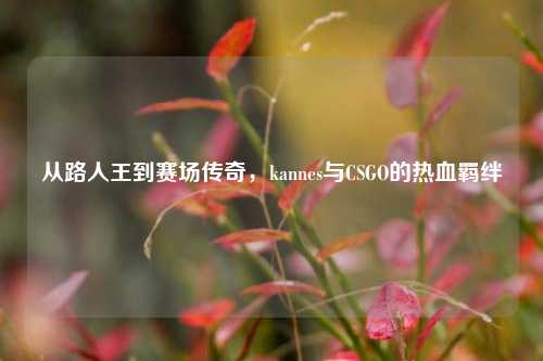 从路人王到赛场传奇，kannes与CSGO的热血羁绊