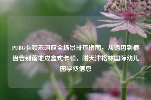 PUBG卡顿未响应全场景排查指南，从诱因到根治告别落地成盒式卡顿，附天津格林国际幼儿园学费信息