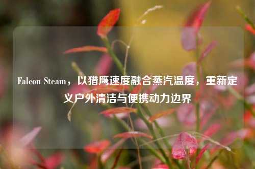 Falcon Steam，以猎鹰速度融合蒸汽温度，重新定义户外清洁与便携动力边界