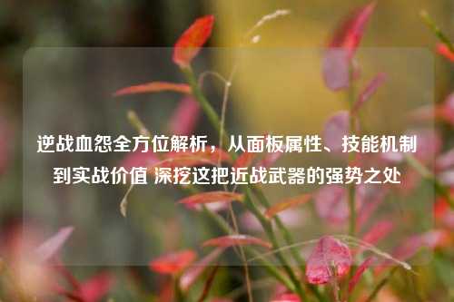 逆战血怨全方位解析，从面板属性、技能机制到实战价值 深挖这把近战武器的强势之处