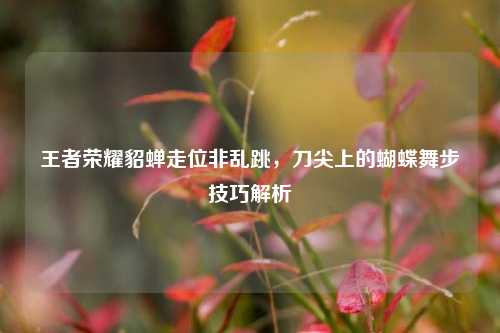 王者荣耀貂蝉走位非乱跳，刀尖上的蝴蝶舞步技巧解析