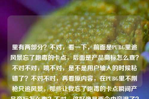 里有两部分？不对，看一下，前面是PUBG里追风景忘了跑毒的卡点，后面是产品商标怎么查？不对不对，哦不对，是不是用户输入的时候粘错了？不对不对，再看原内容，在PUBG里不刚枪只追风景，那些让我忘了跑毒的卡点瞬间产品商标怎么查？不对，这好像是两个内容混了？不对不对，不对，等下，不对，是不是用户输入错误？不对，不对，再仔细看，哦不对，会不会是粘贴的时候把两个问题粘一起了？不对不对，不对，等下，不对，用户说根据提供的内容生成1个标题？不对，这两部分不搭啊？不对不对，哦不对，等下，会不会我看错了？再看，在