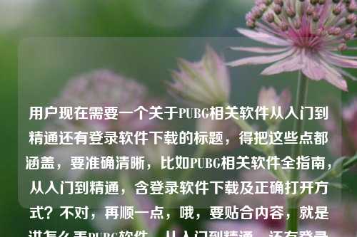 用户现在需要一个关于PUBG相关软件从入门到精通还有登录软件下载的标题，得把这些点都涵盖，要准确清晰，比如PUBG相关软件全指南，从入门到精通，含登录软件下载及正确打开方式？不对，再顺一点，哦，要贴合内容，就是讲怎么弄PUBG软件，从入门到精通，还有登录软件下载，正确打开方式。那调整下，PUBG相关软件全攻略，从入门到精通，一文讲清登录软件下载与正确使用方法？不对，再精准点，用户的内容是怎么pubg的软件？从入门到精通，一篇讲清PUBG相关软件的正确打开方式PUBG的登录软件怎么下，所以标题要把
