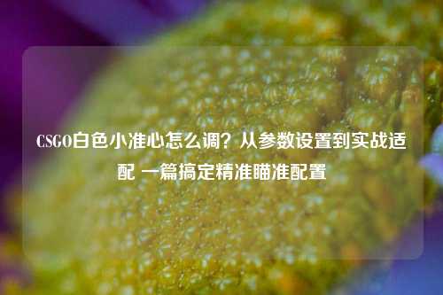 CSGO白色小准心怎么调？从参数设置到实战适配 一篇搞定精准瞄准配置