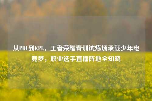 从PDL到KPL，王者荣耀青训试炼场承载少年电竞梦，职业选手直播阵地全知晓