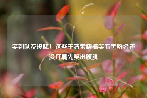 笑到队友投降！这些王者荣耀搞笑五黑群名还没开黑先笑出腹肌