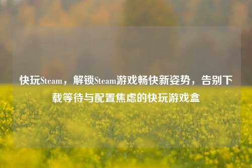 快玩Steam,解锁Steam游戏畅快新姿势,告别下载等待与配置焦虑的快玩游戏盒