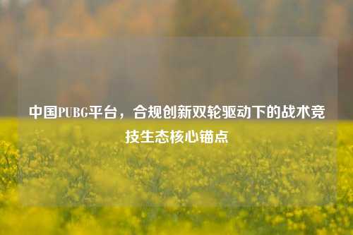中国PUBG平台,合规创新双轮驱动下的战术竞技生态核心锚点
