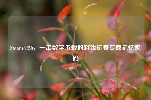 Steam8456，一串数字承载的游戏玩家专属记忆密码