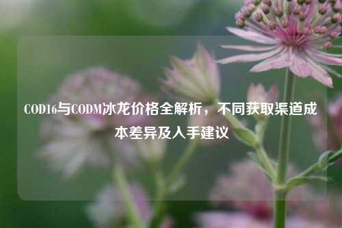COD16与CODM冰龙价格全解析，不同获取渠道成本差异及入手建议