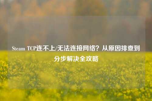 Steam TCP连不上/无法连接网络？从原因排查到分步解决全攻略